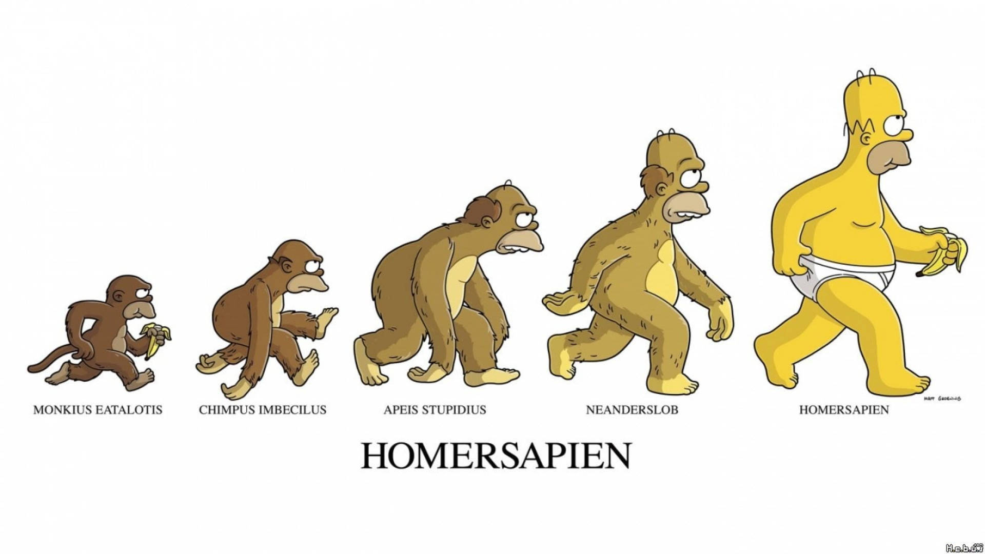 Homer Simpson Evolution Background