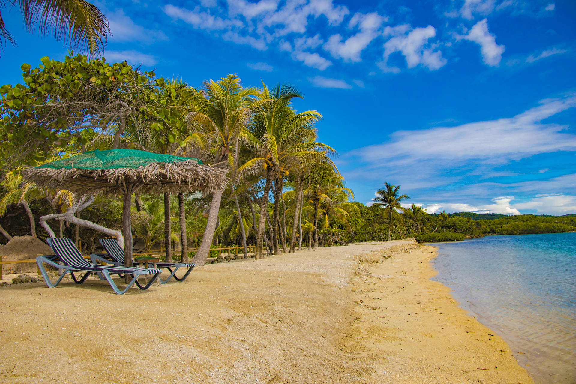 Honduras Beach And Trees Background