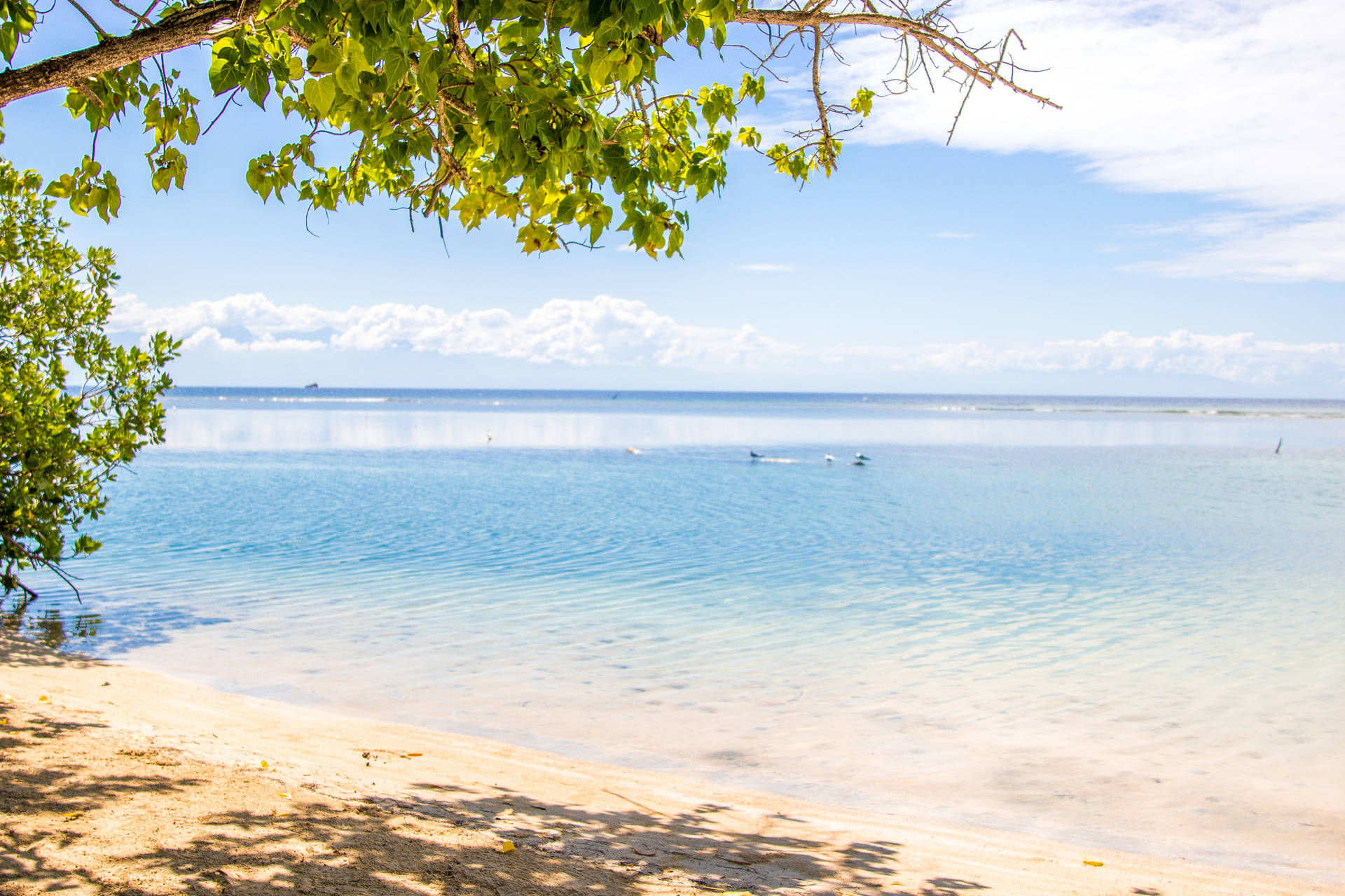 Honduras Blue Beach Background