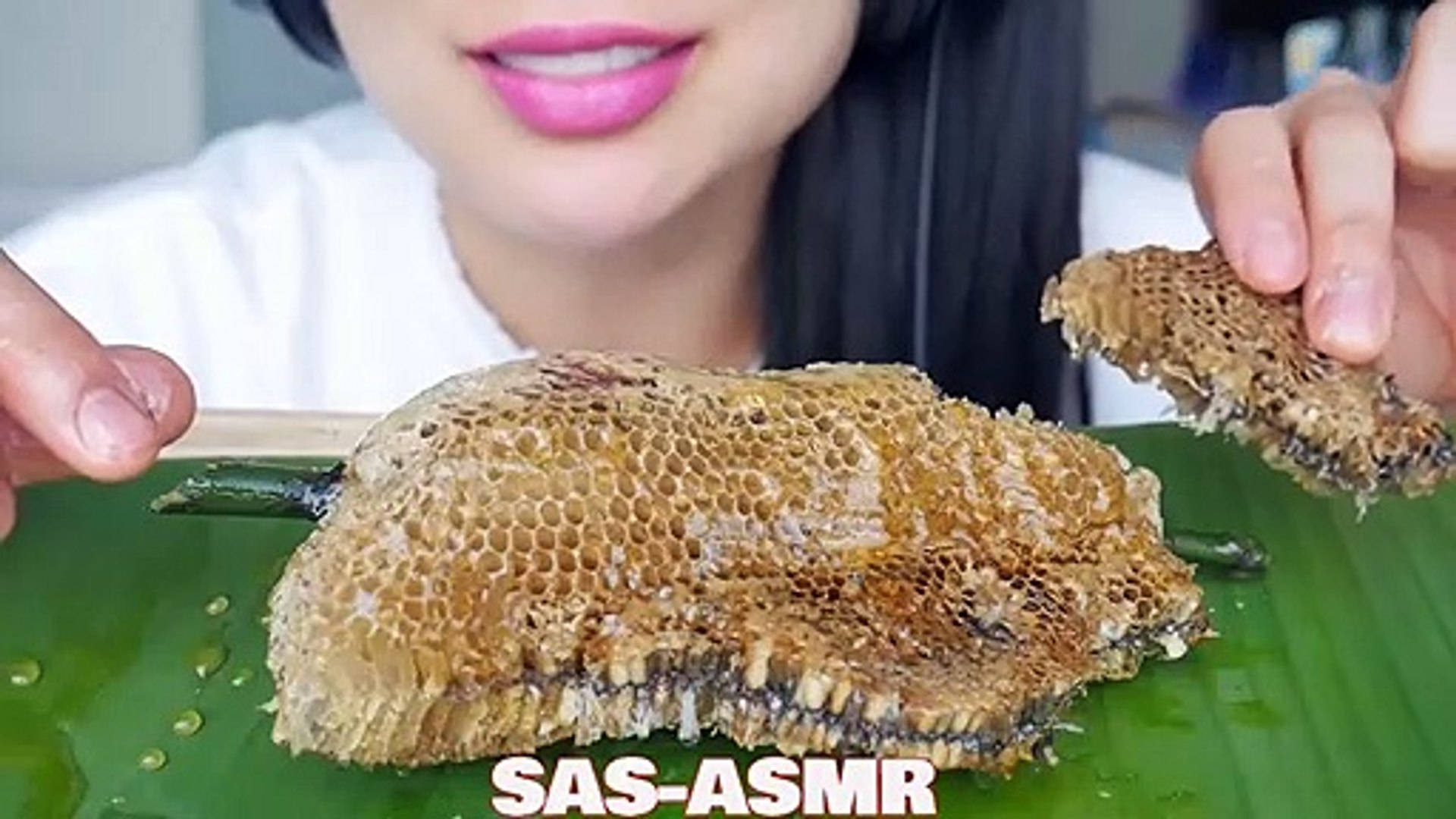 Honeycomb Asmr Background