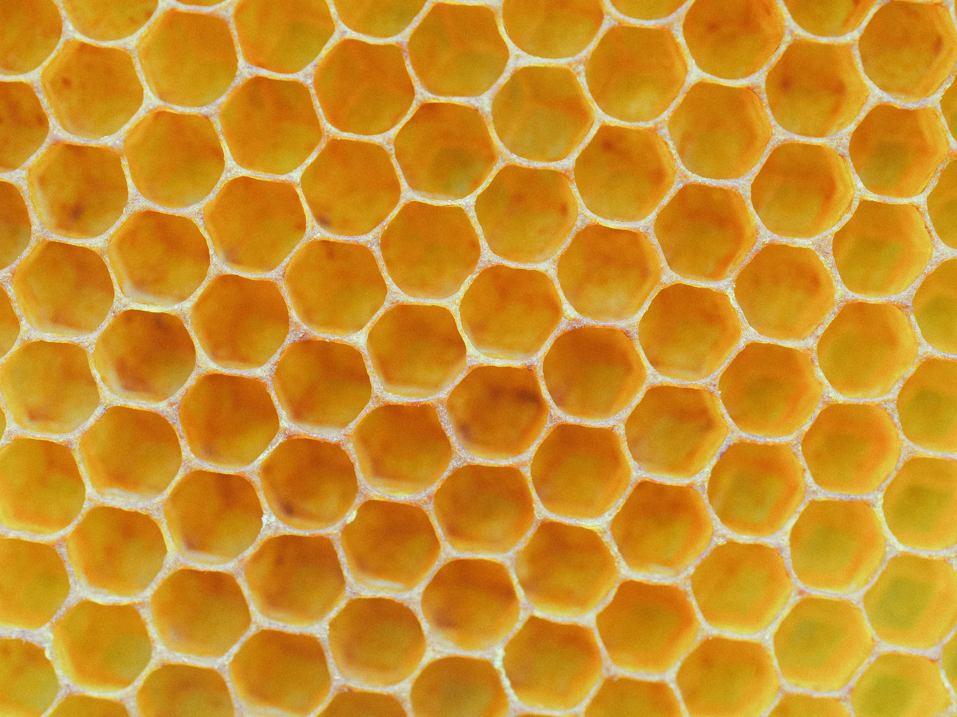 Honeycomb Bright Yellow Background