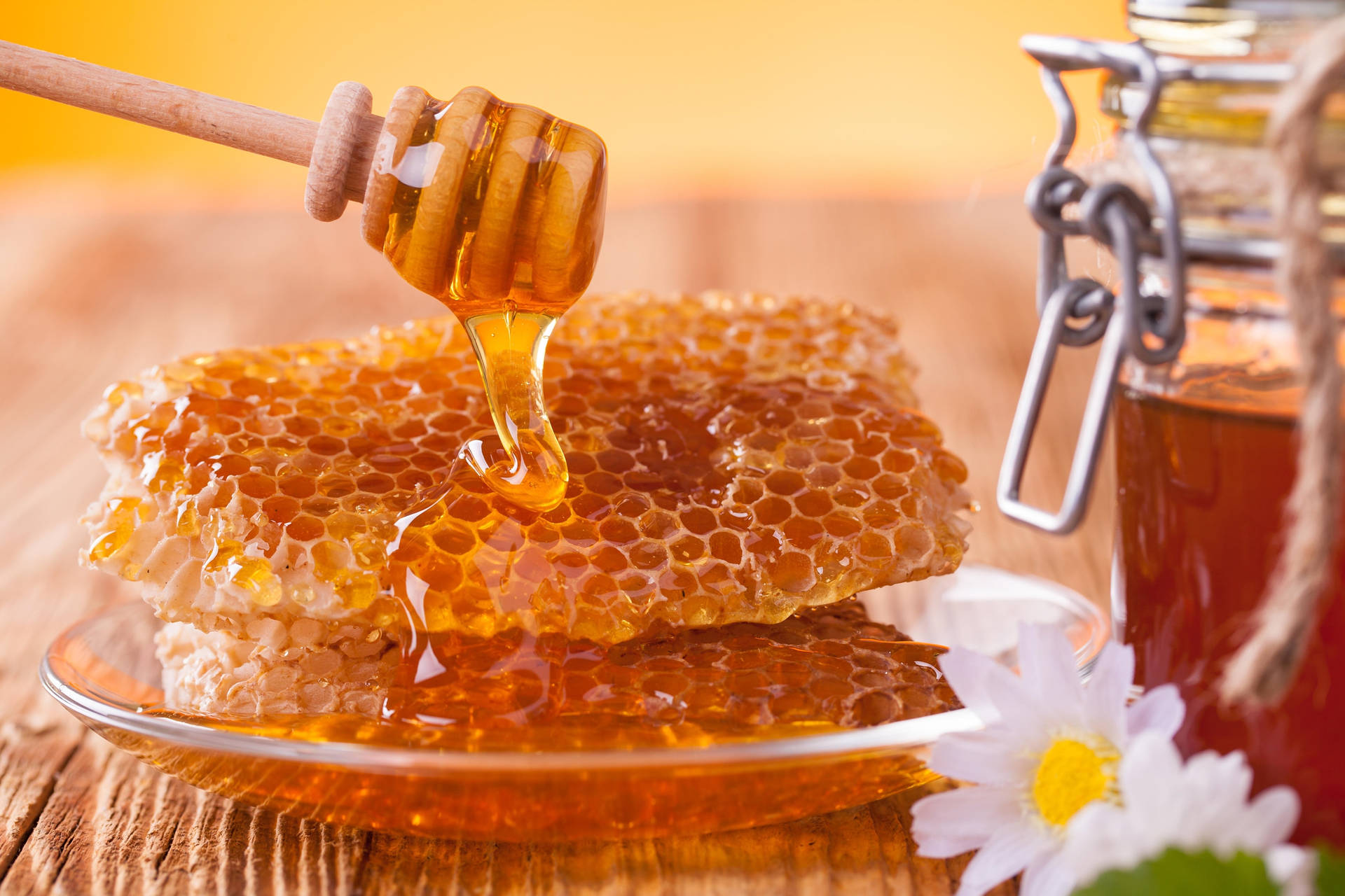 Honeycomb Drizzled By Honey