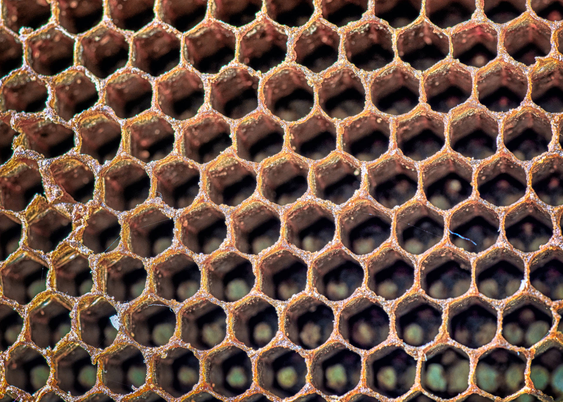 Honeycomb Empty And Flat Background