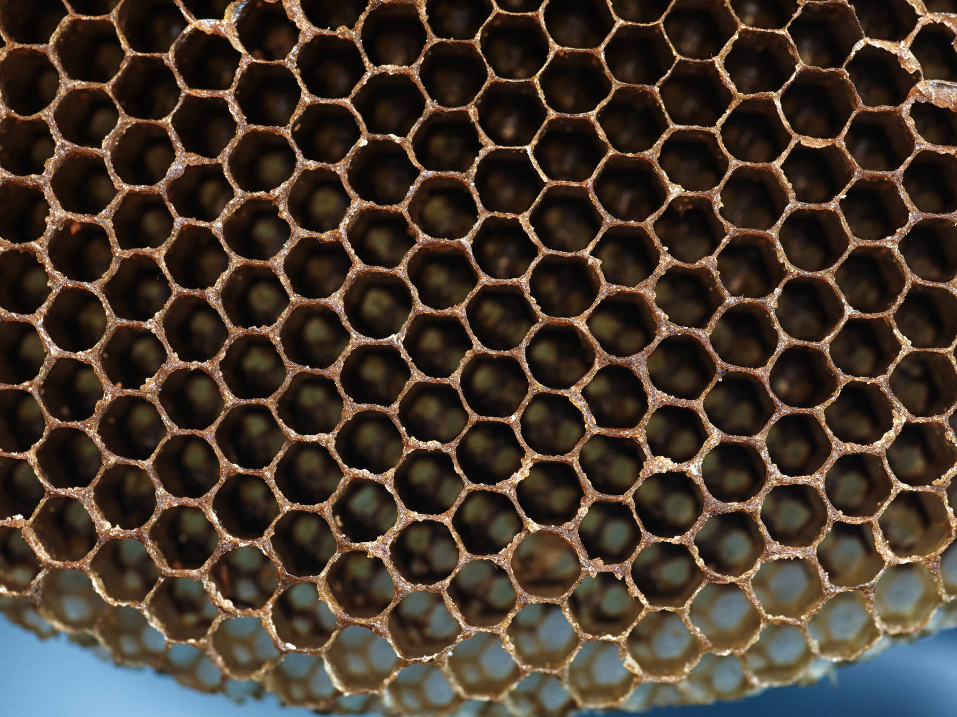 Honeycomb Hollowed Inside Background