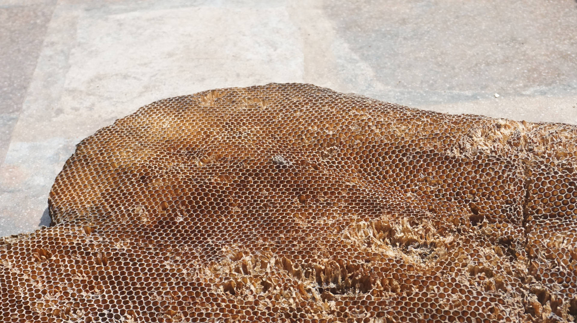 Honeycomb Large Chunk Background