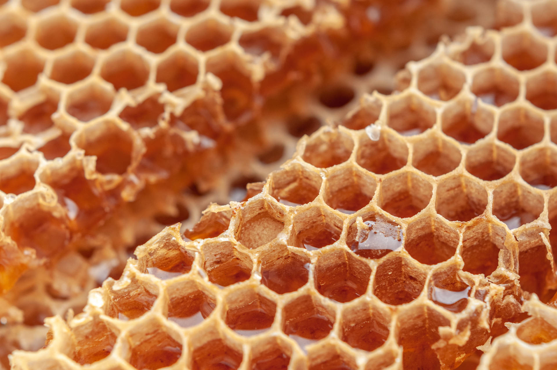 Honeycomb Straight Cut Background