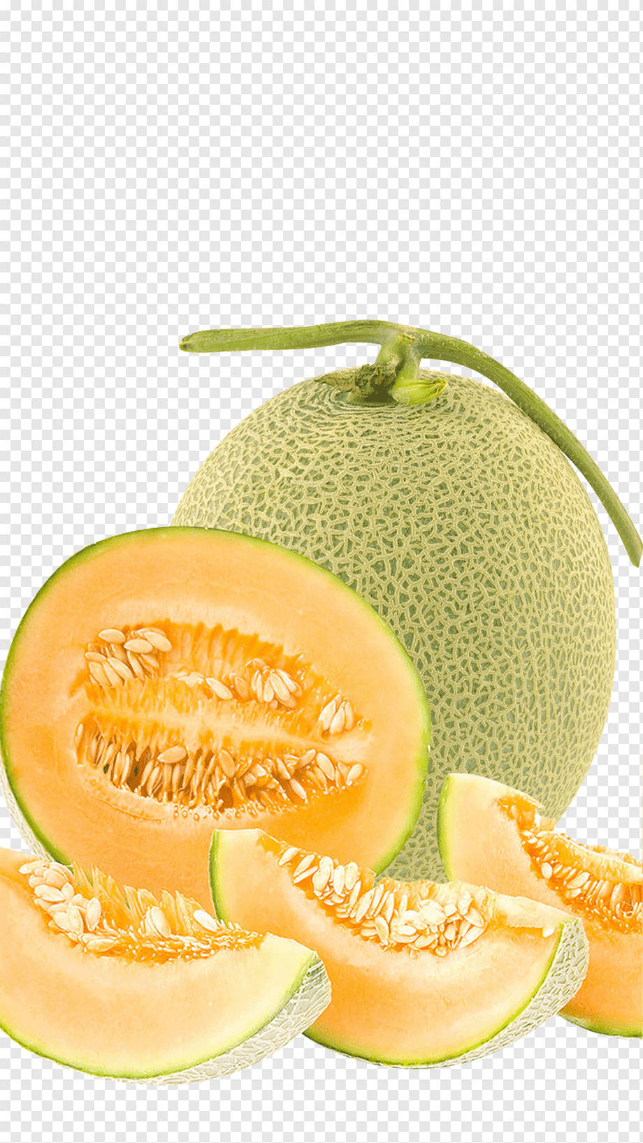 Honeydew Melon Poster Background