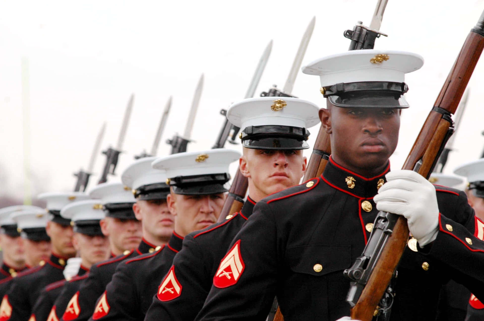 Honoring Those Who Serve In The Us Marines Background