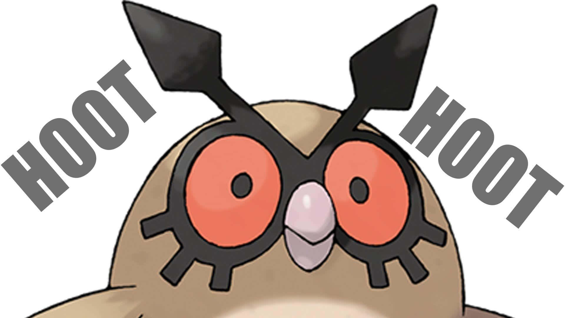 Hoothoot Illustration With Name White Background Background