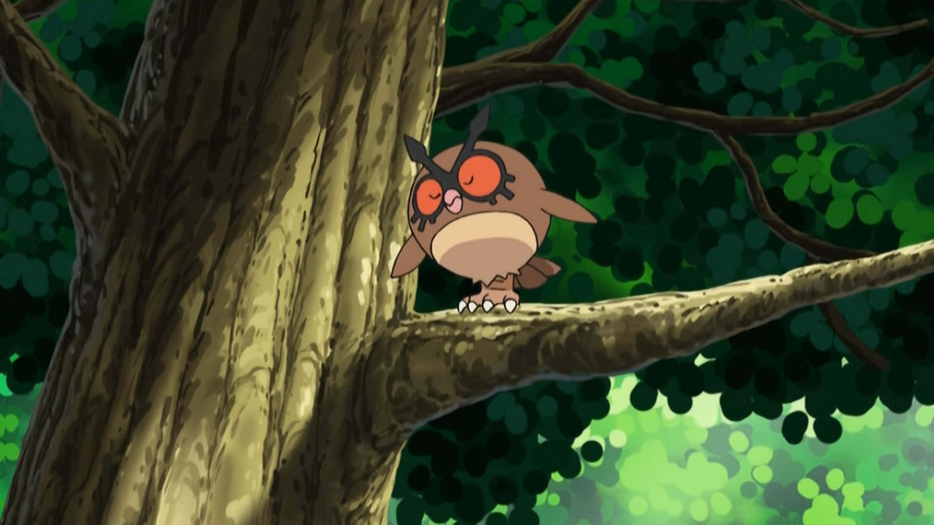 Hoothoot Perched On Tree Branch Background