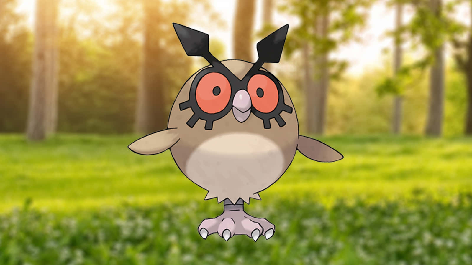 Hoothoot Pokemon Standing On Grass Background