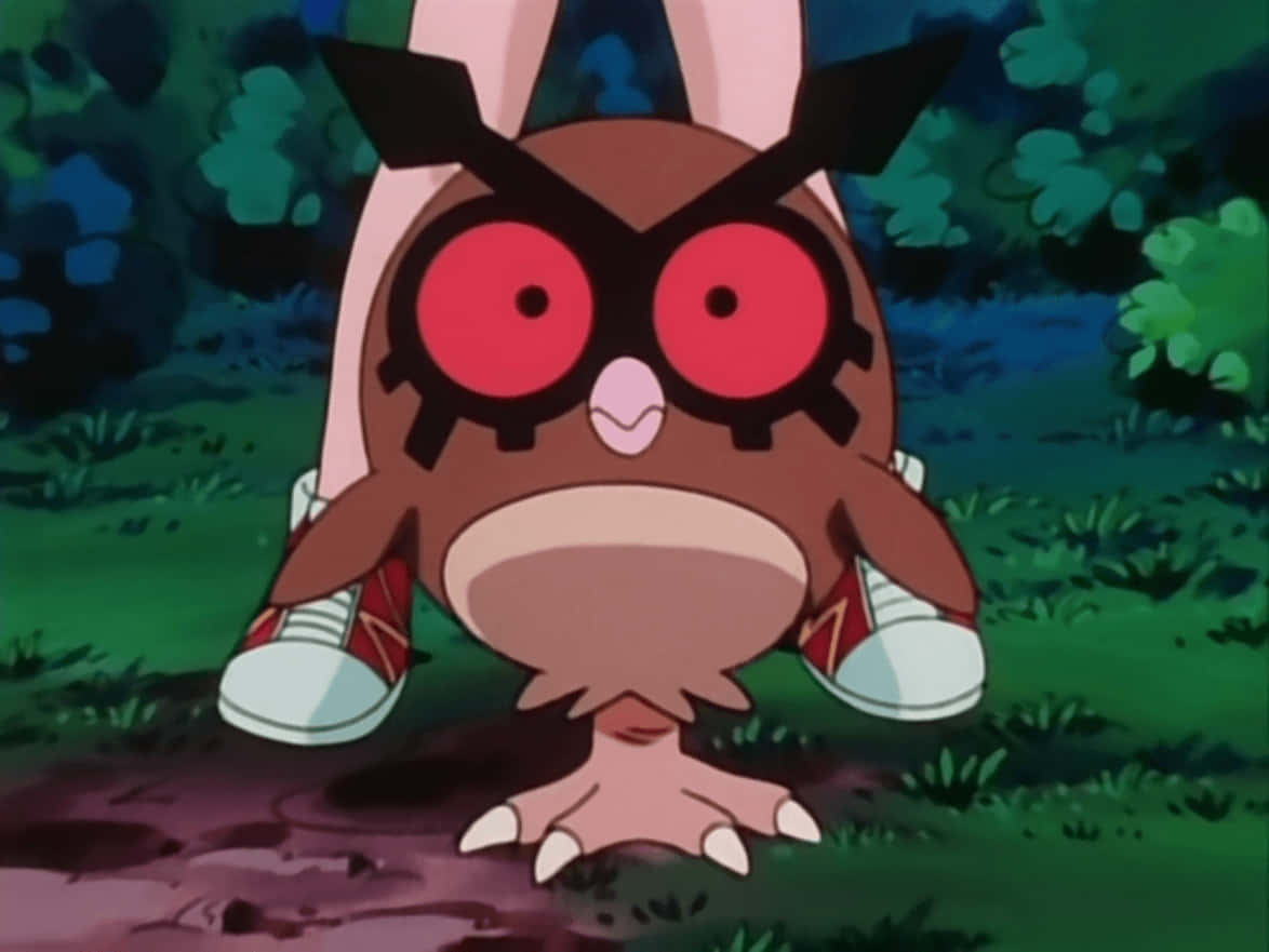 Hoothoot Pokemon With Trainer In Backgound Background
