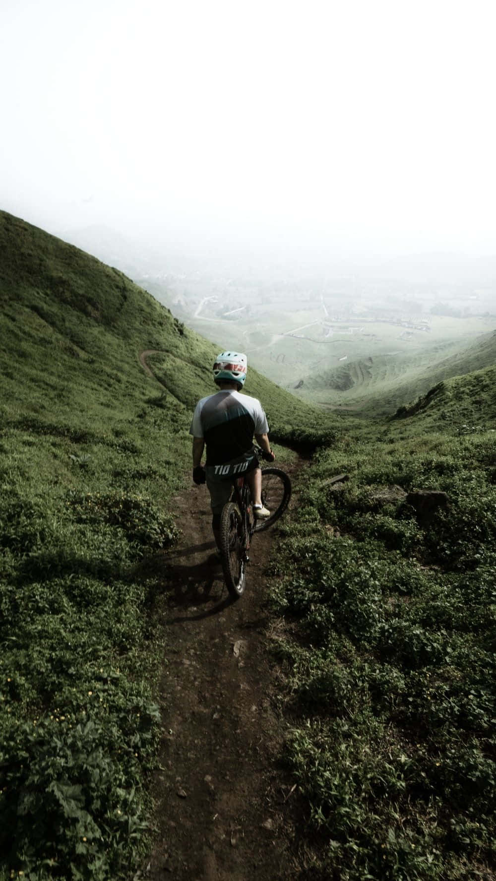 Hop On An Adventure With The Mountain Bike Iphone Background