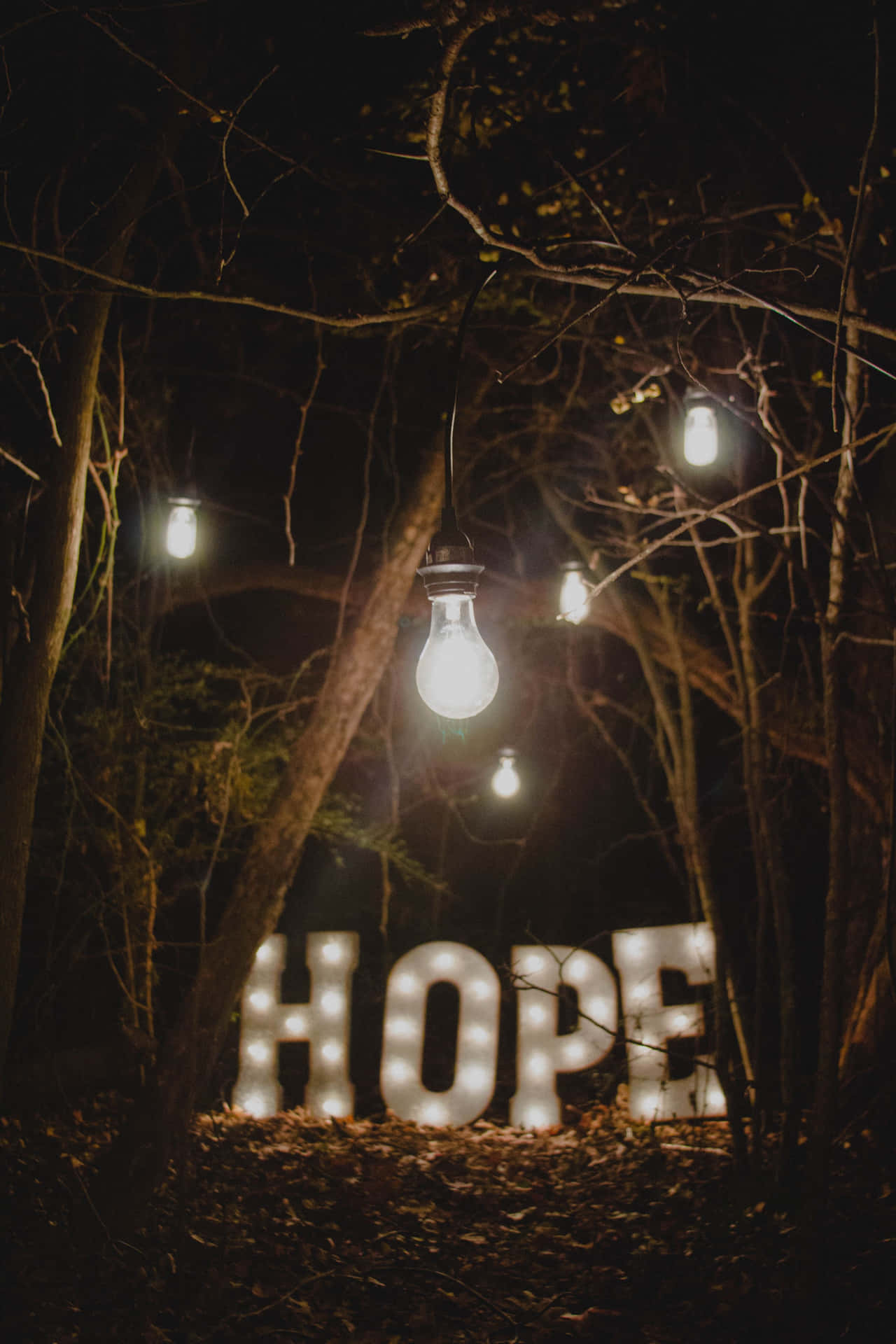 Hope And Gratitude Forest