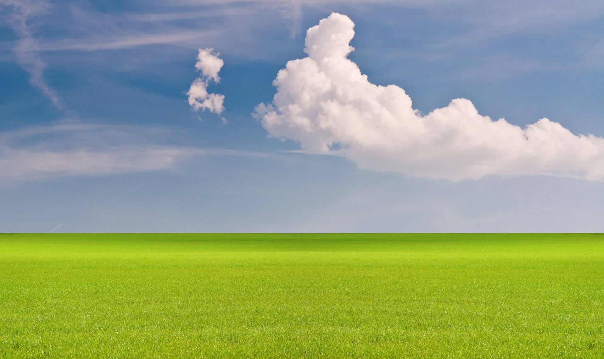 Horizon Green Field Desktop Screensaver Background