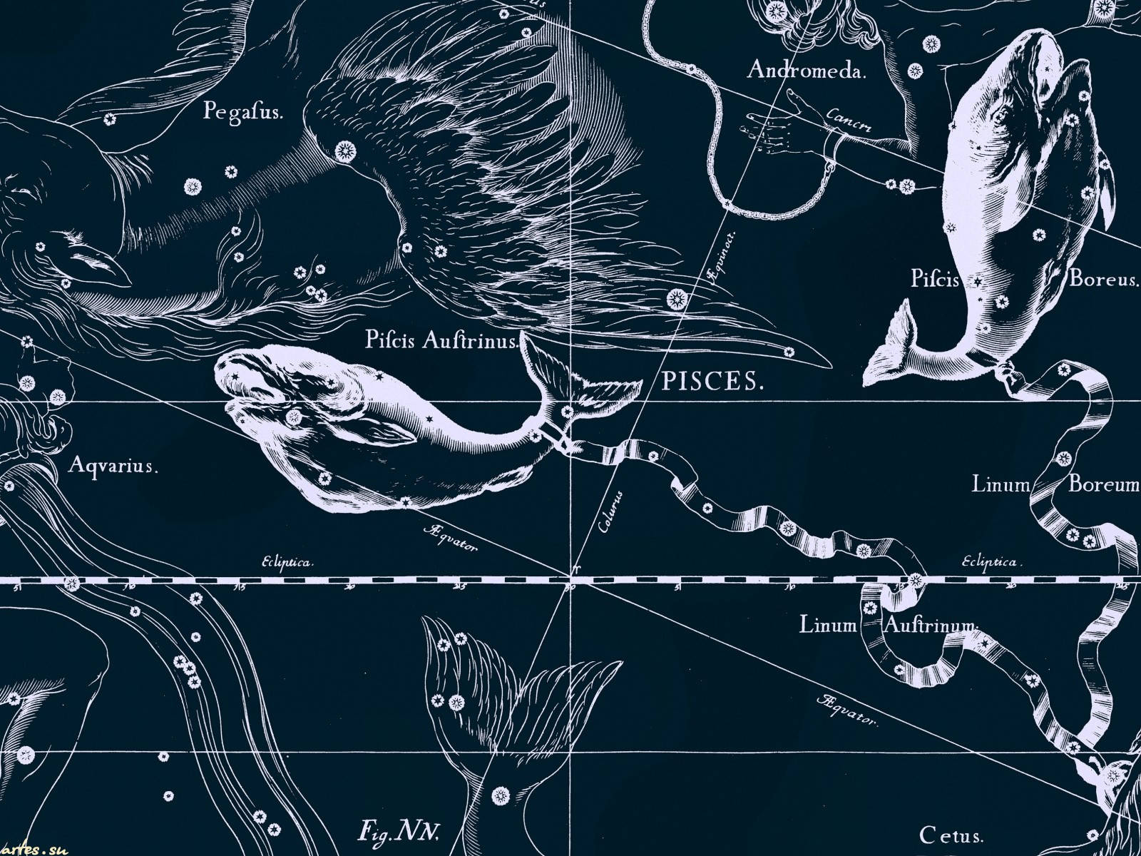 Horoscope Map Of Pieces Background