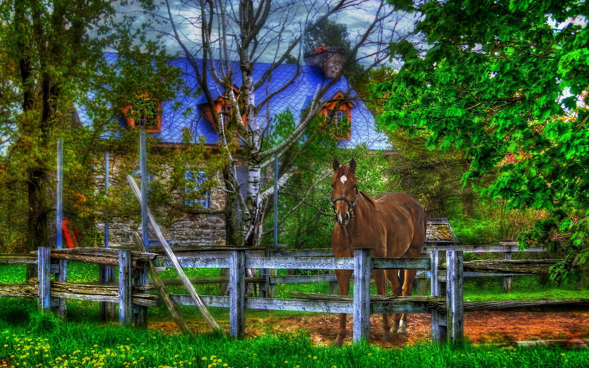 Horse And House Digital Art Background