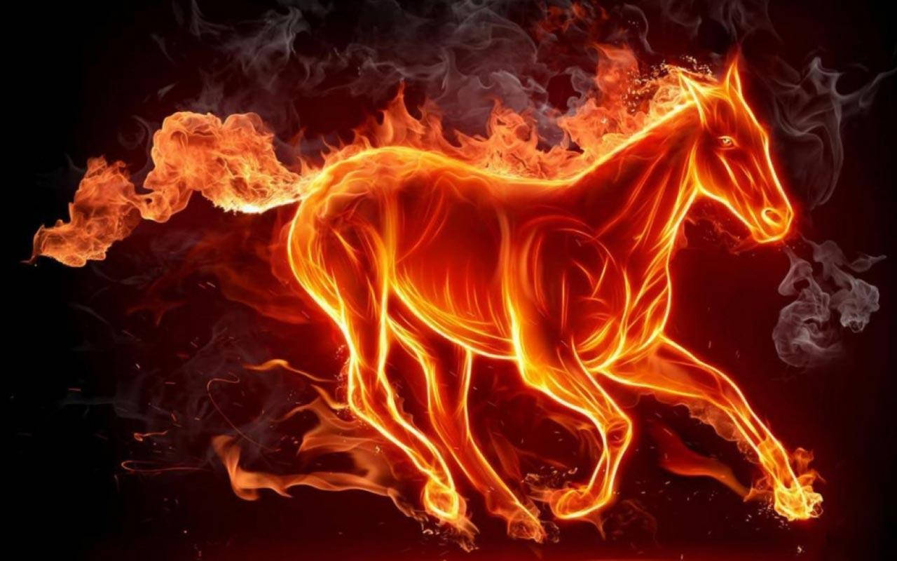 Horse Fire Background Background