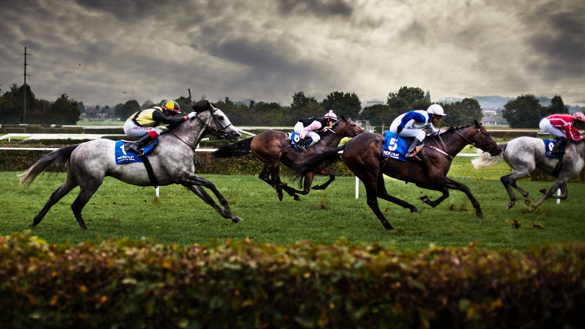 Horse Racing In A Bad Weather