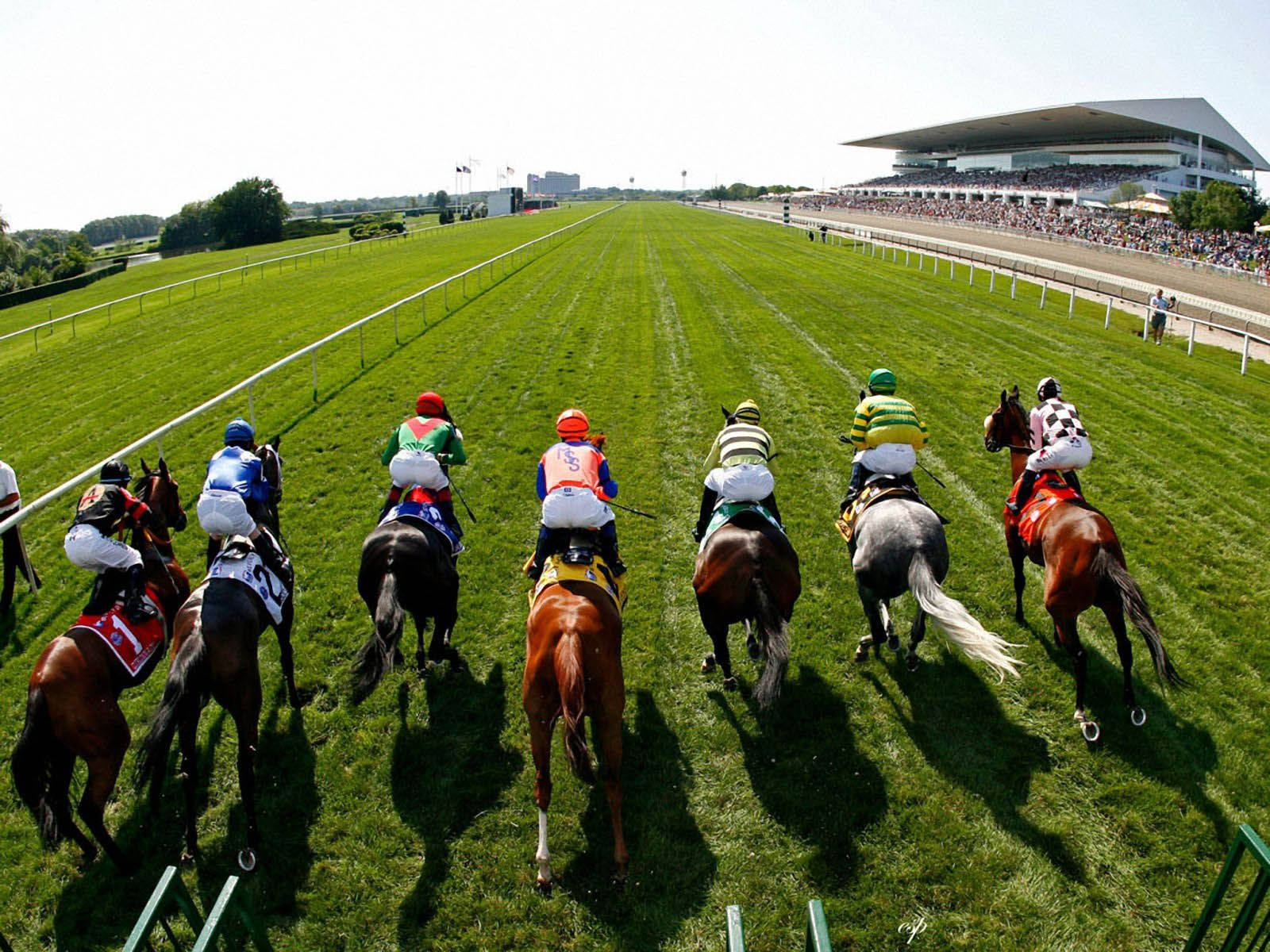 Horse Racing On A Long Field