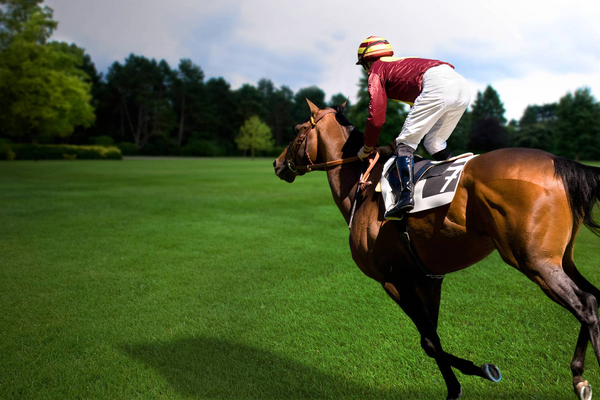 Horse Racing On Firm Grass Ground Background