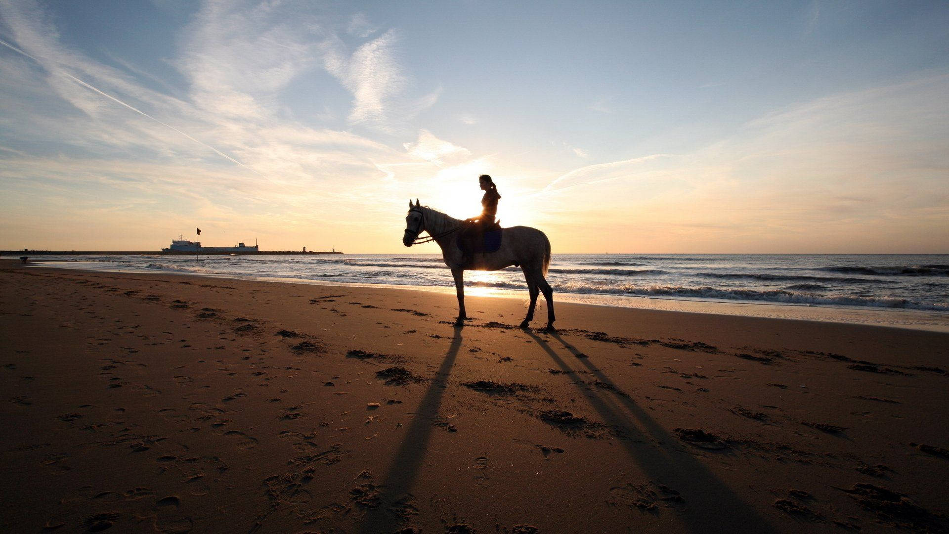 Horse Riding Beach Sunrise Ocean View Background