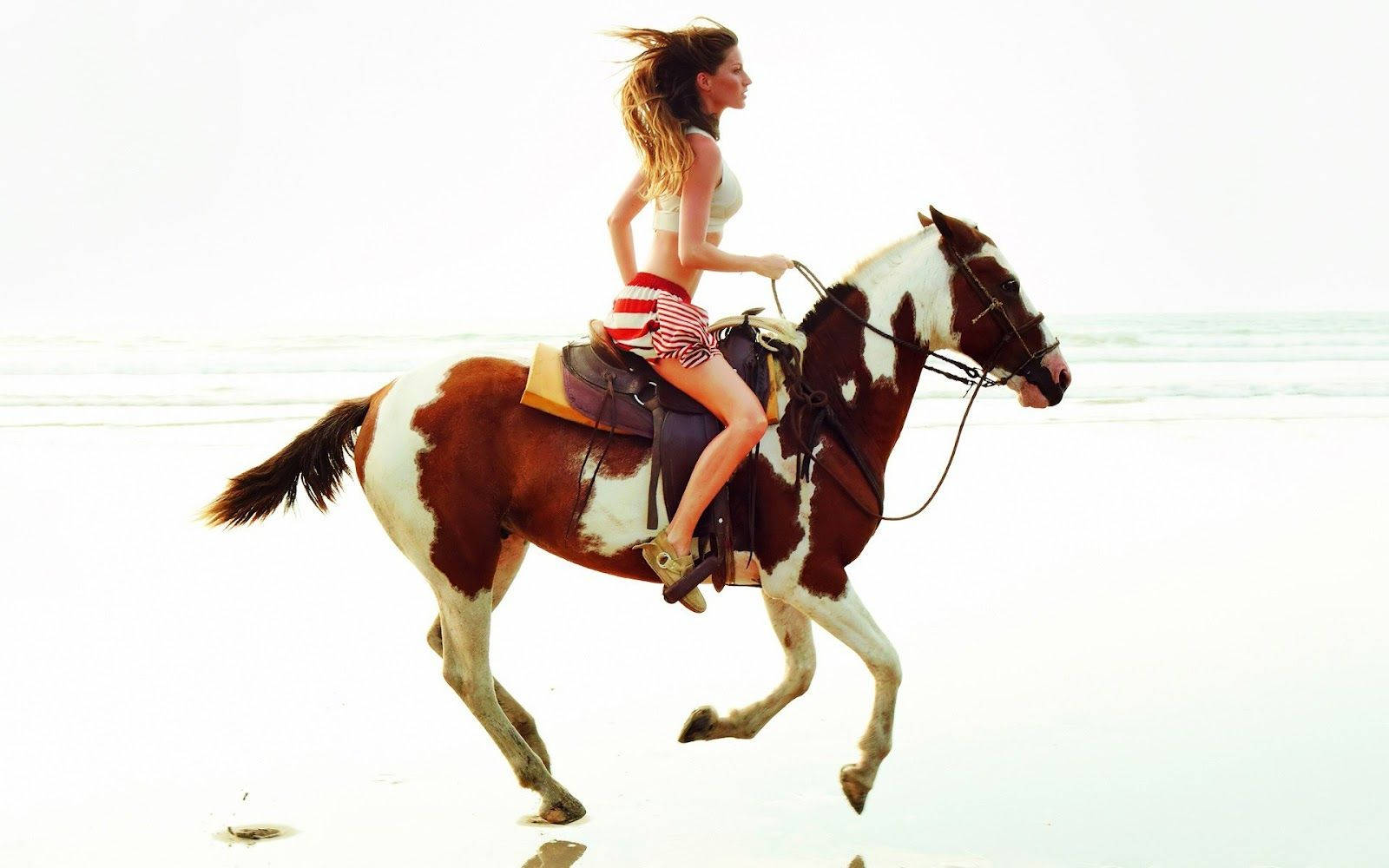 Horse Riding Gisele Bündchen Hot Model Beach Background