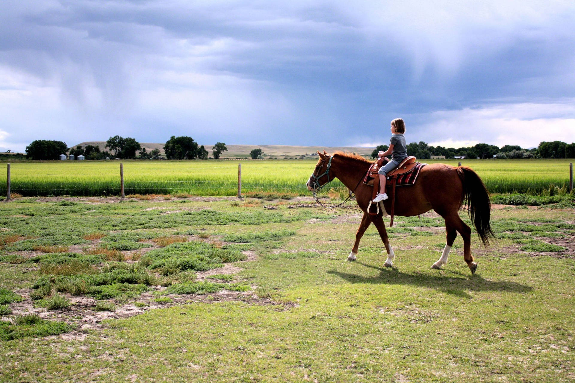 Horse Riding In Flower Garden Summer