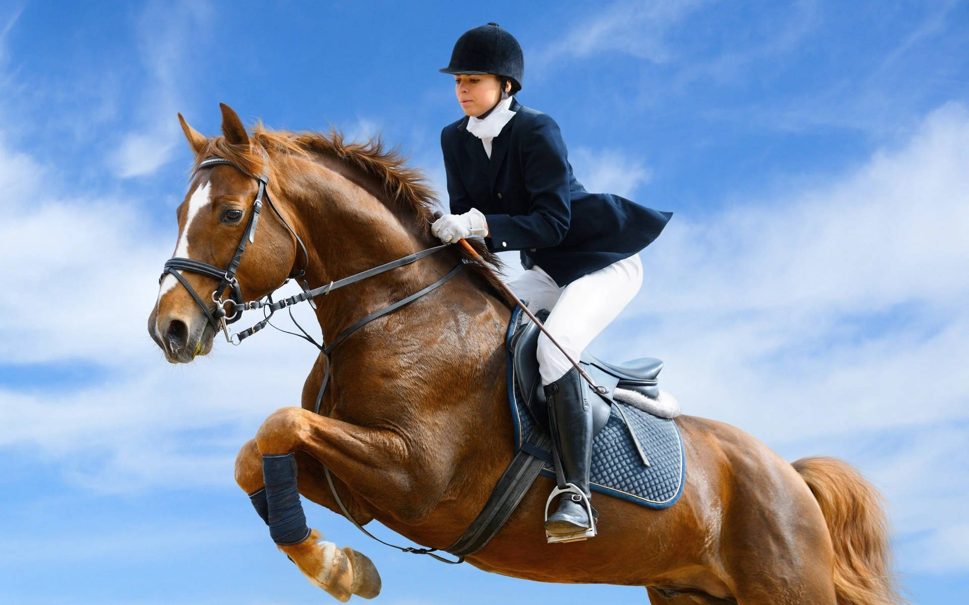 Horse Riding Jump Woman Equestrian