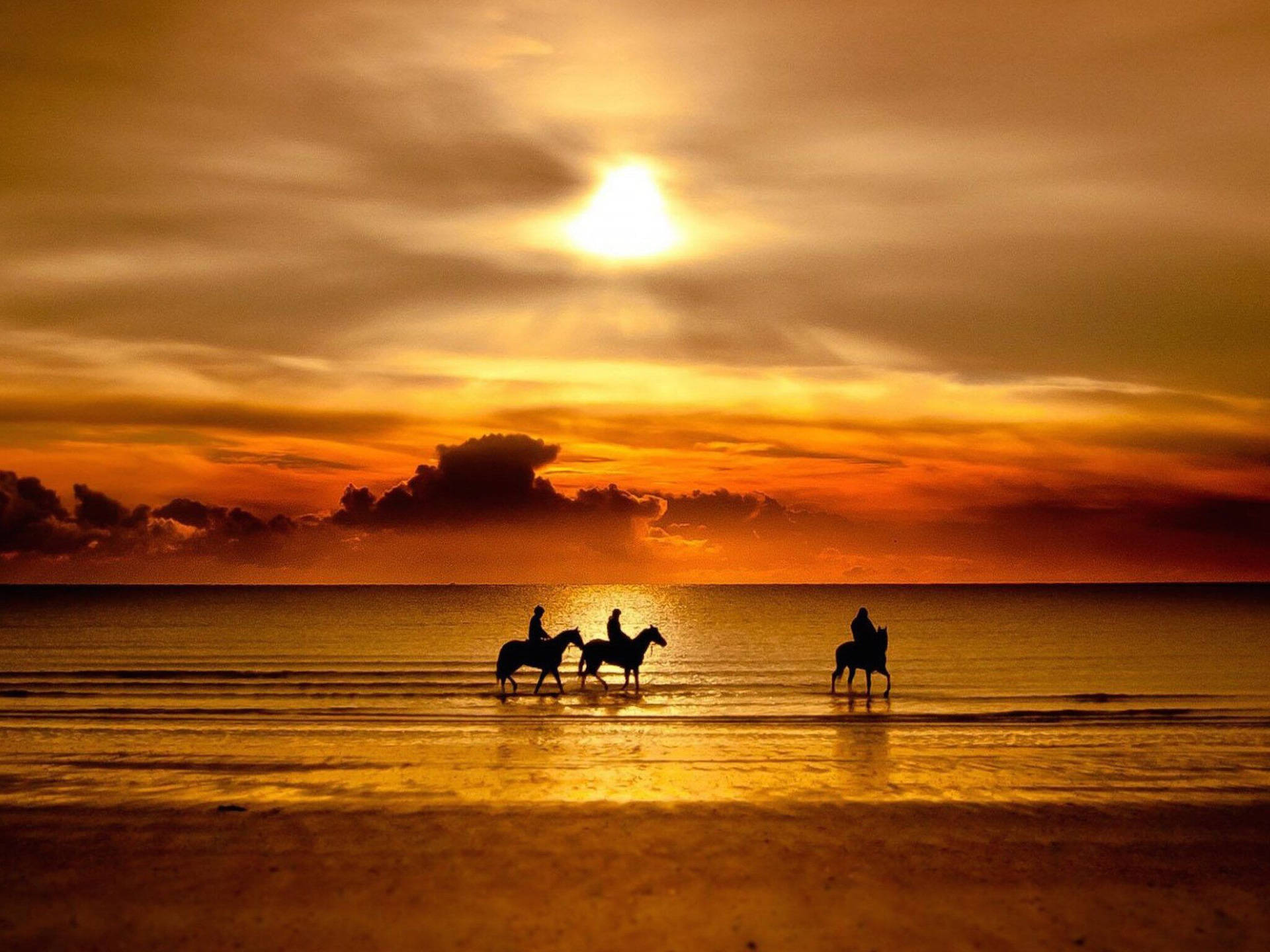 Horse Riding Romantic Beach Sunset View Background