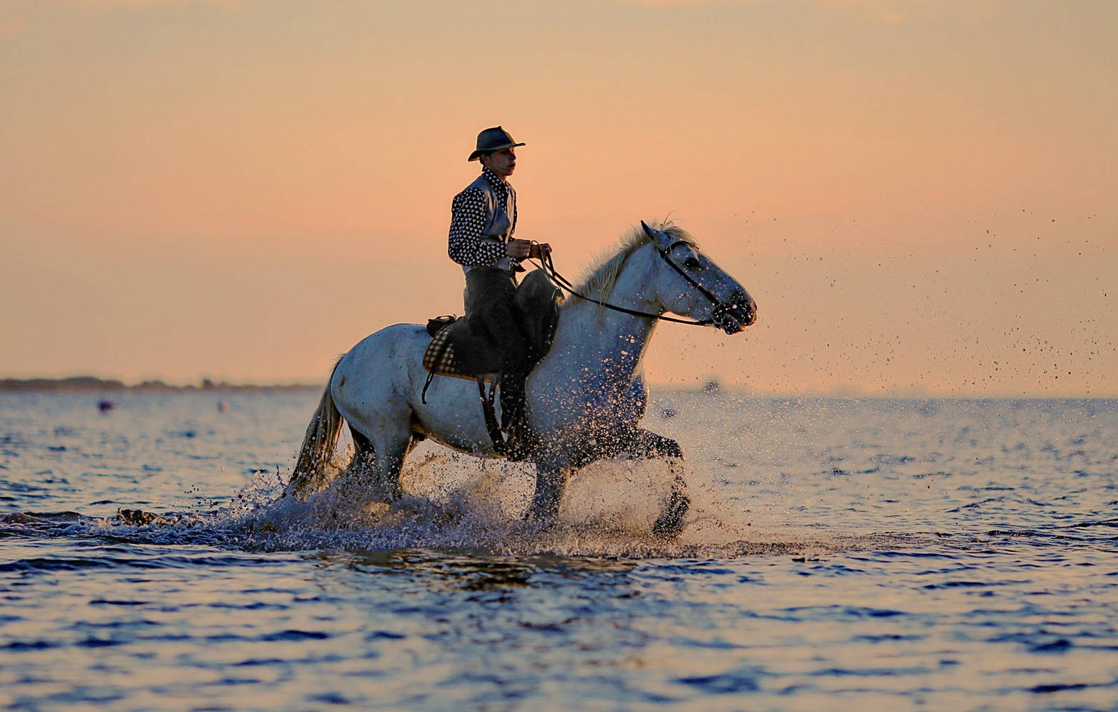 Horse Riding Sea Water Sunset Scenic View