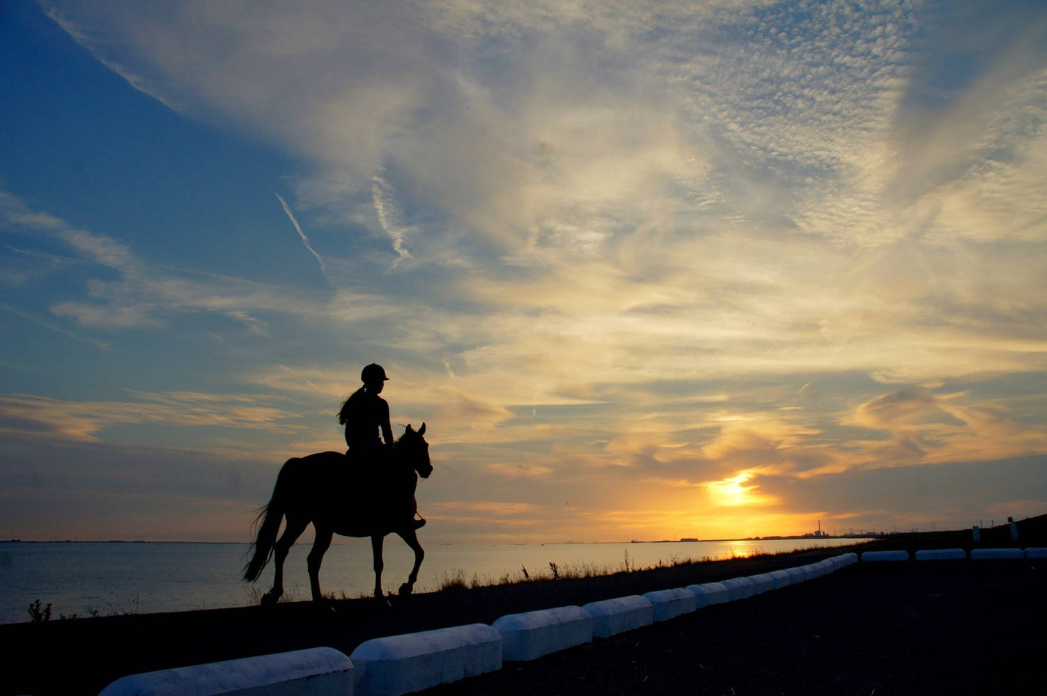 Horse Riding Woman Silhouette Sunset Beach