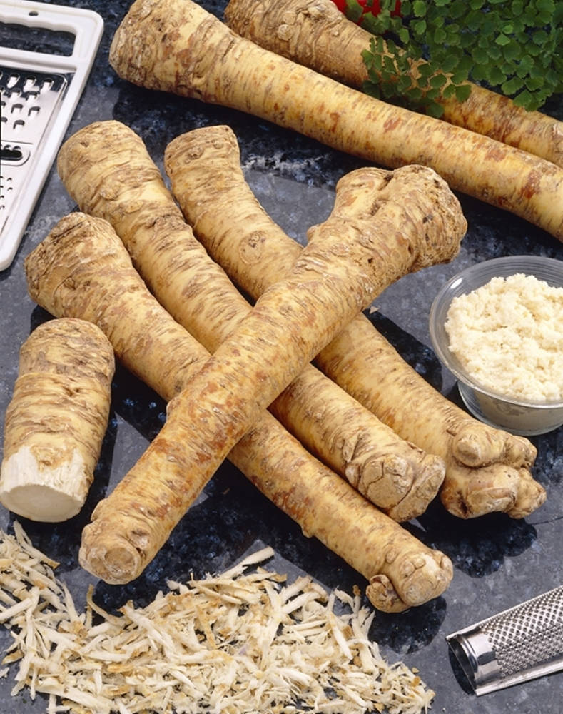 Horseradish On Marble Chopping Board Background