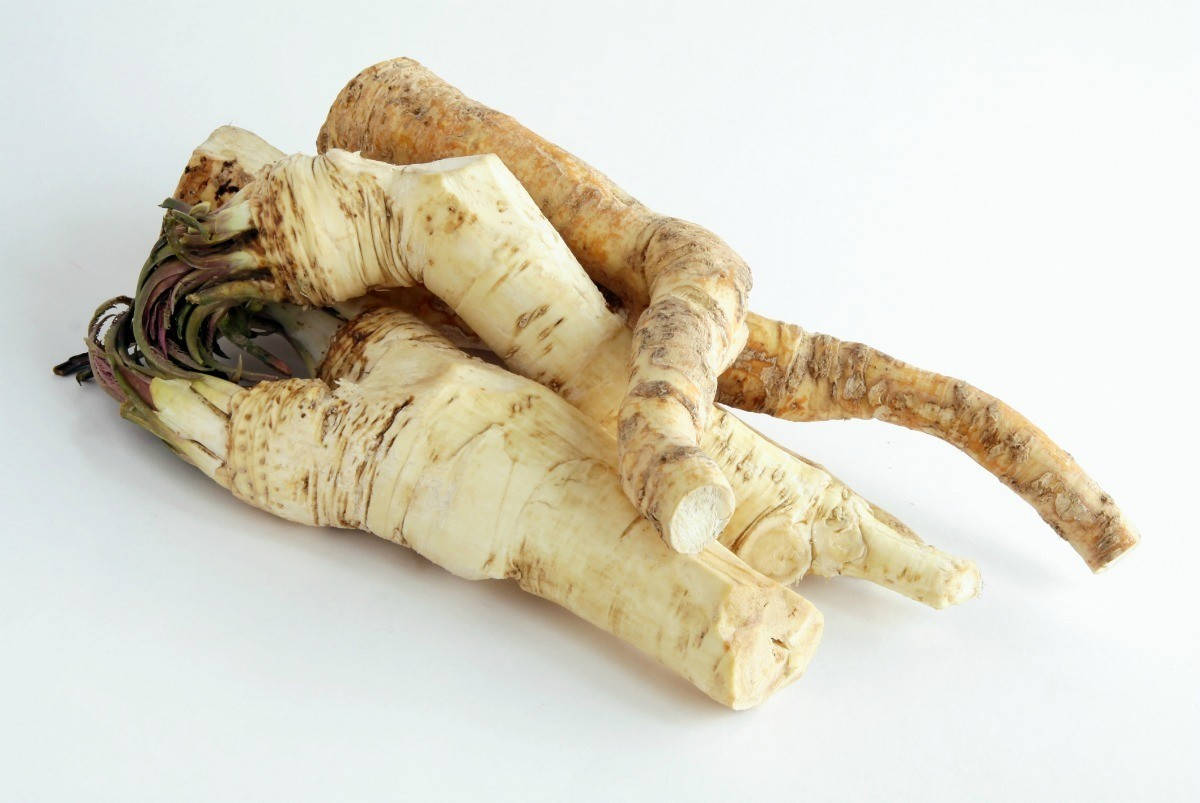 Horseradish Root Plant Background