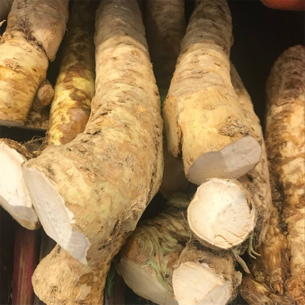 Horseradish Vegetable Pile