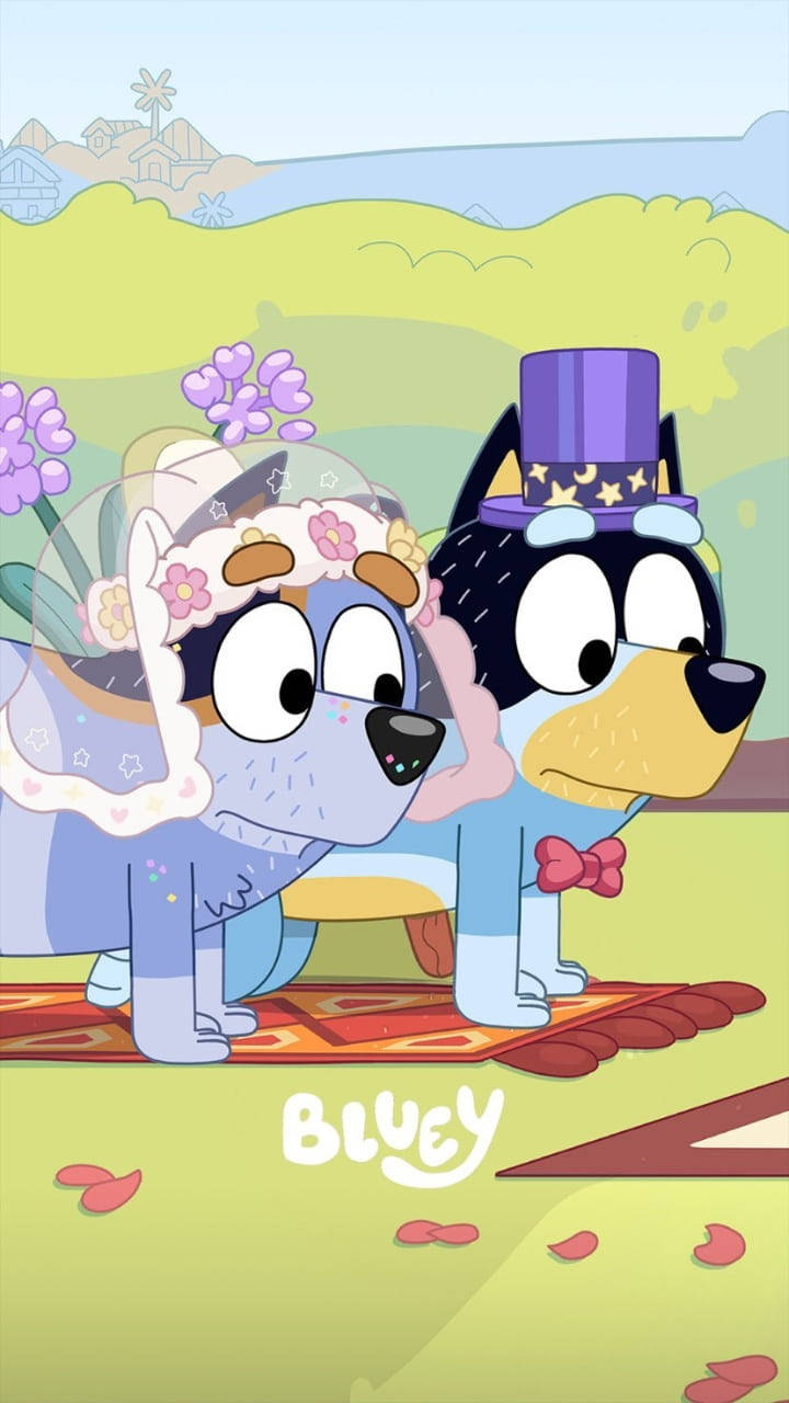 Horsey Wedding Episode Of Bluey Background