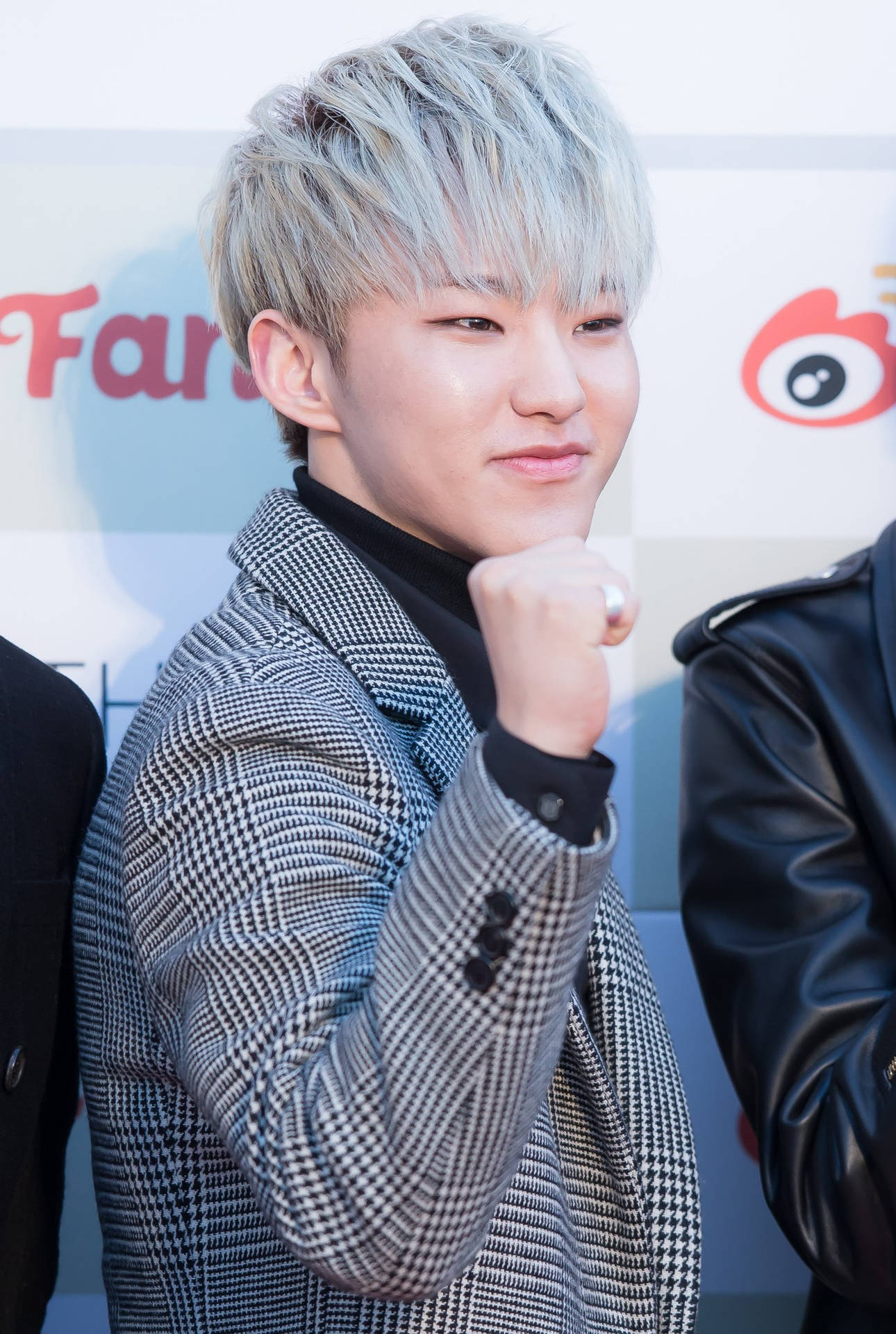 Hoshi With Silver Hair Background