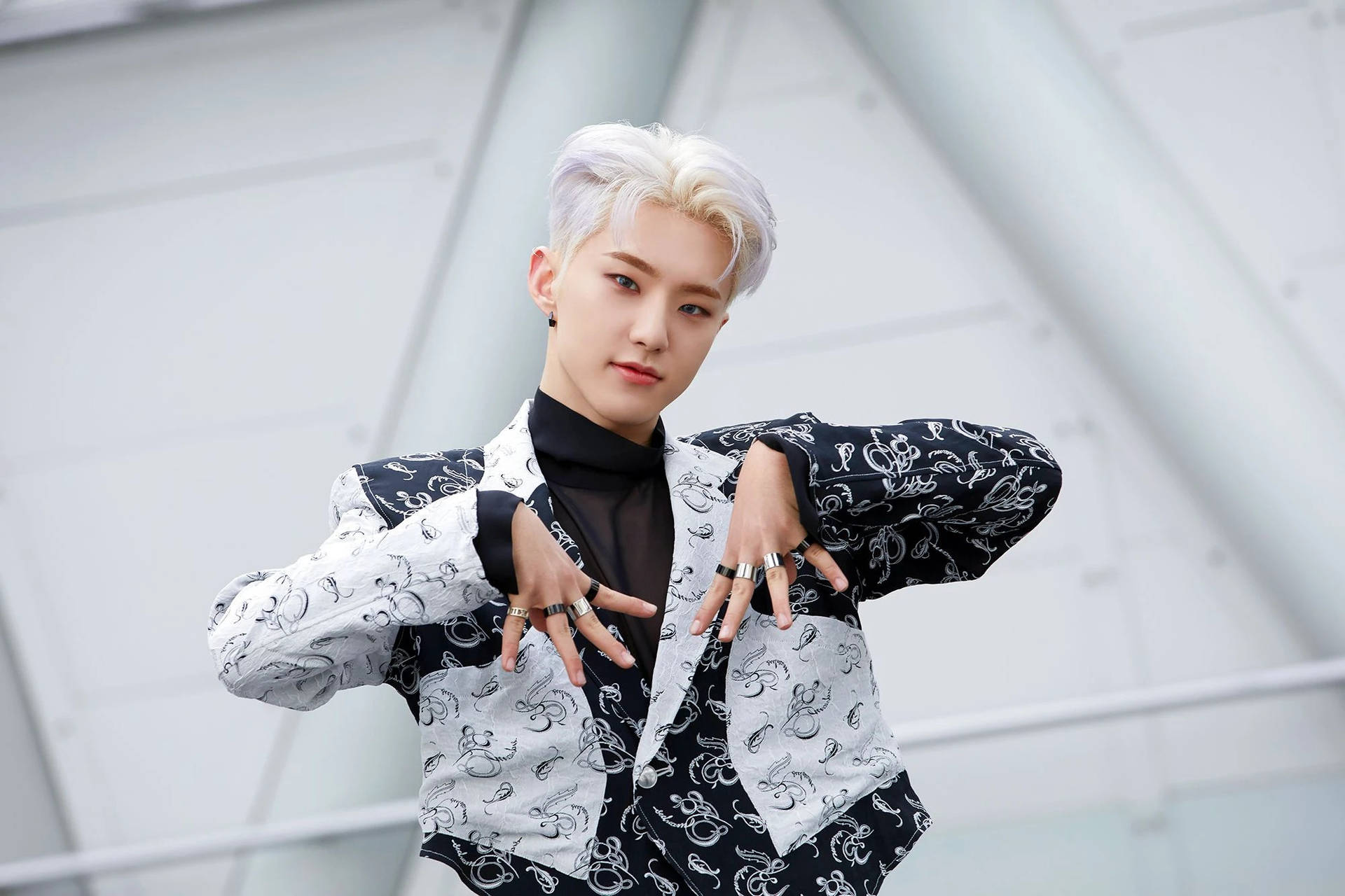 Hoshi With Stunning White Hair Background