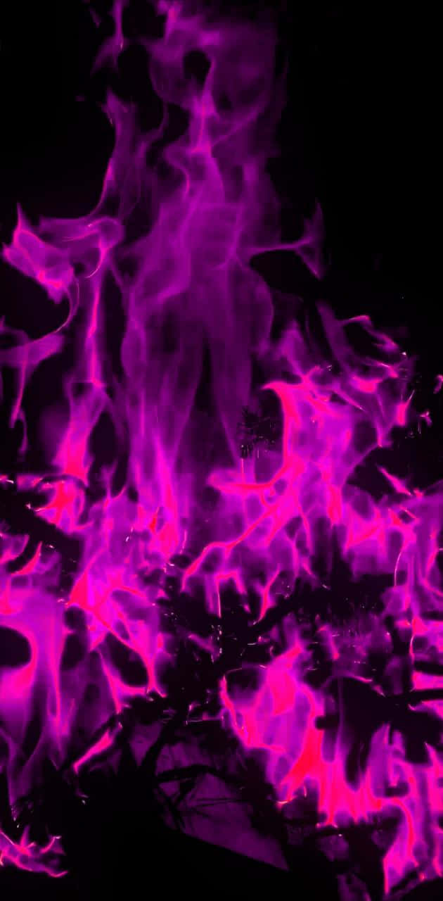 Hot And Fiery Pink Flames Background