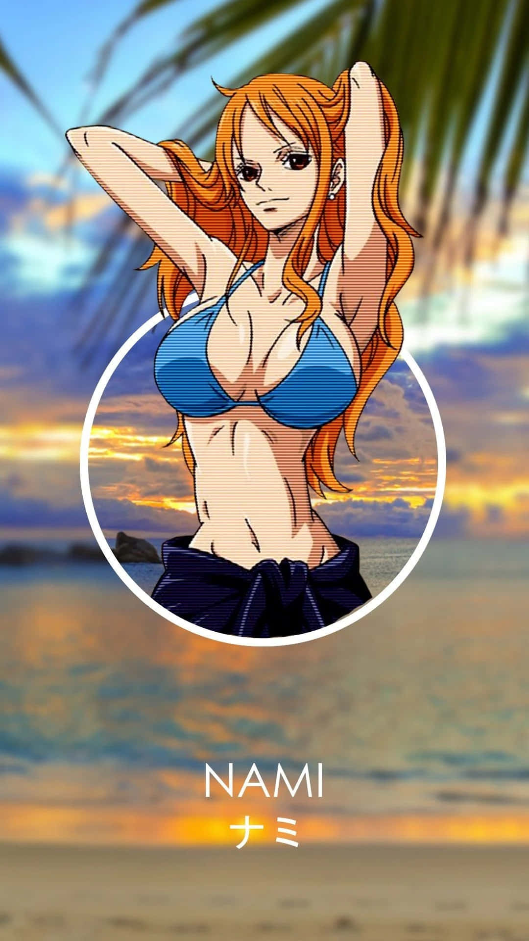 Hot Bikini Nami One Piece Background