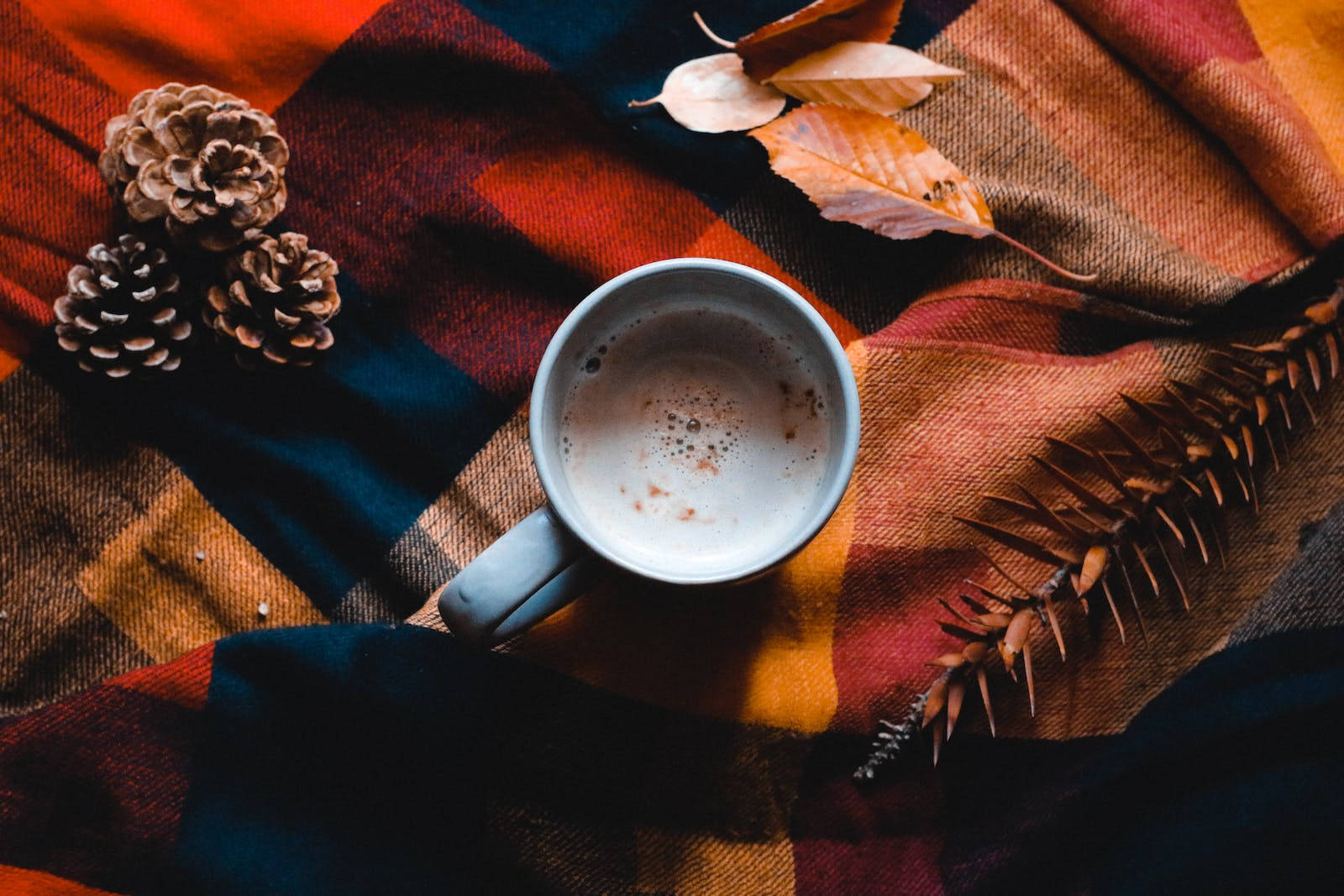 Hot Cocoa For Rustic Fall Background