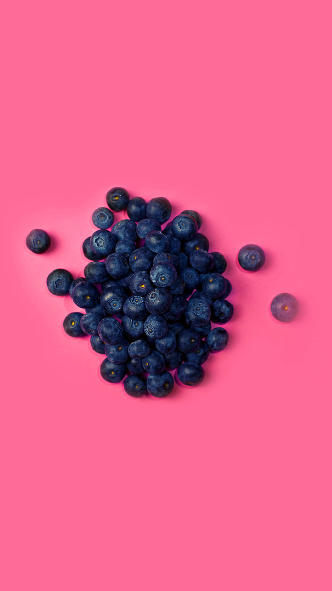 Hot Pink Blueberries Background