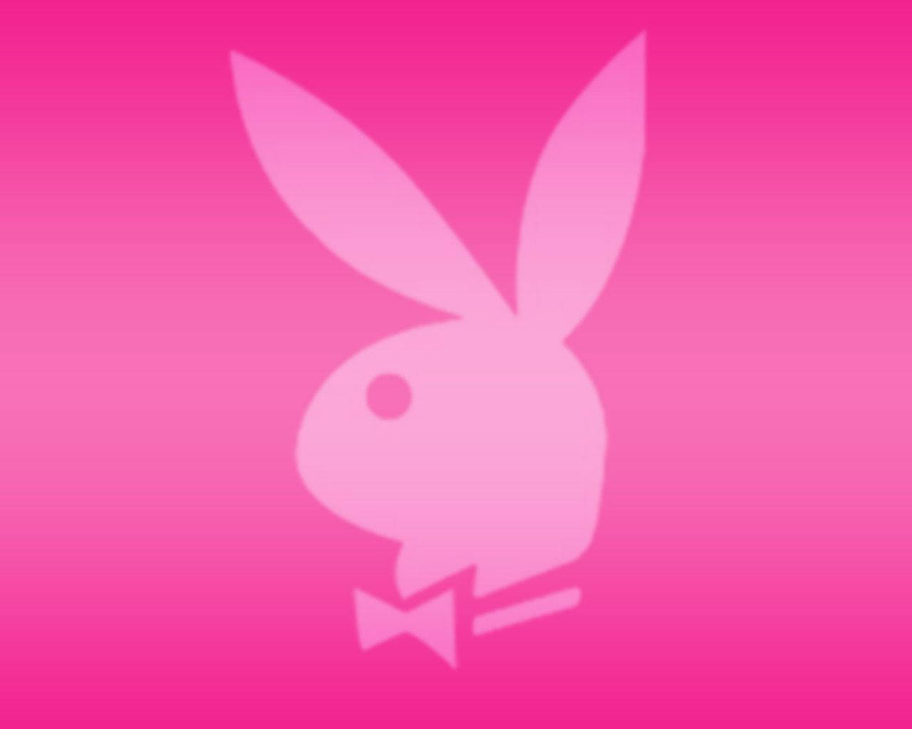 Hot Pink Playboy Logo Bunny Background