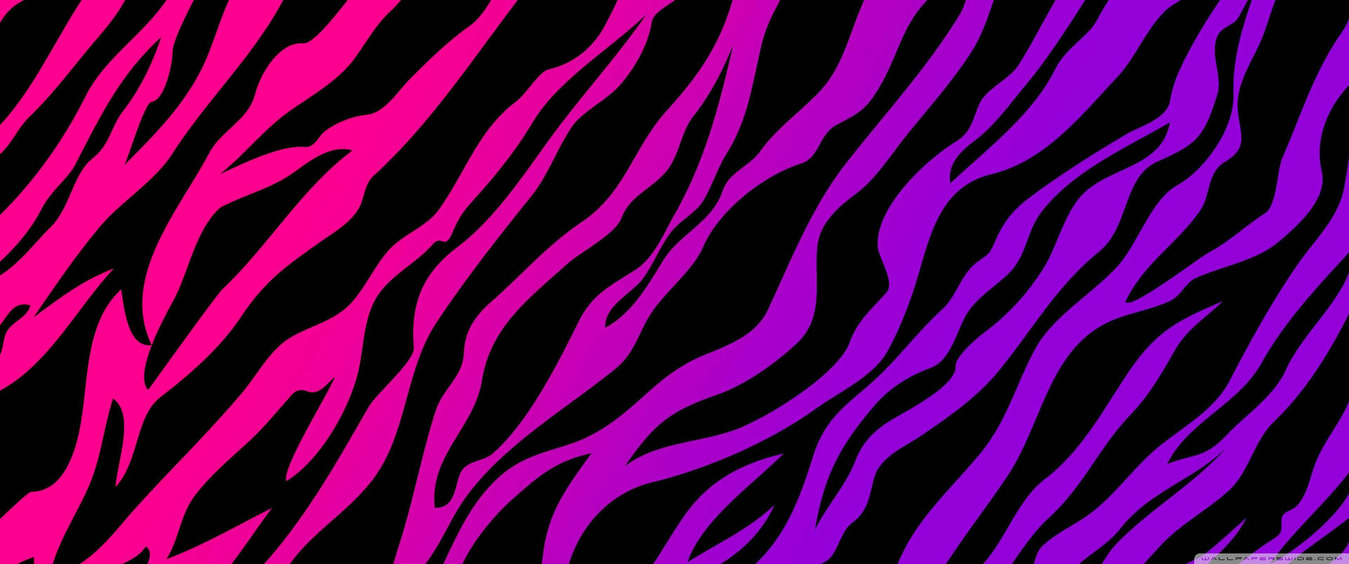 Hot Pink Purple Zebra Pattern