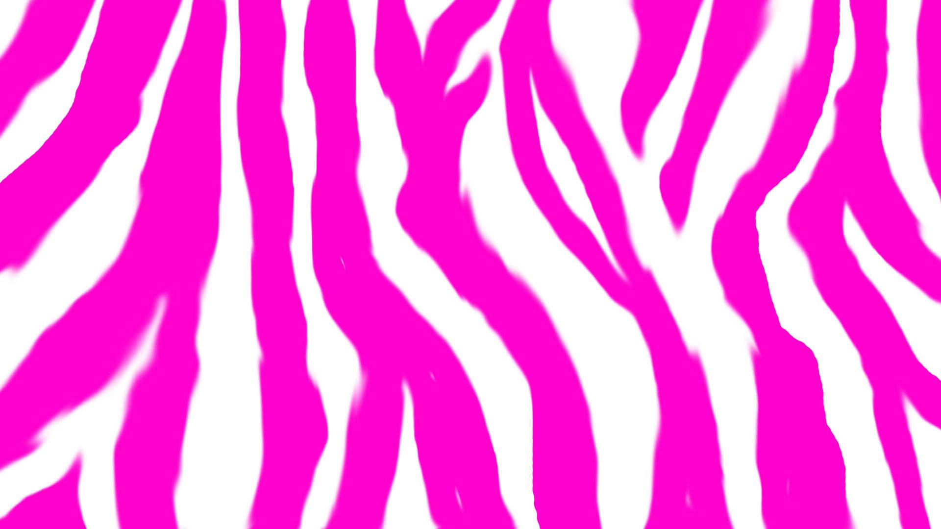 Hot Pink White And Zebra Print Background