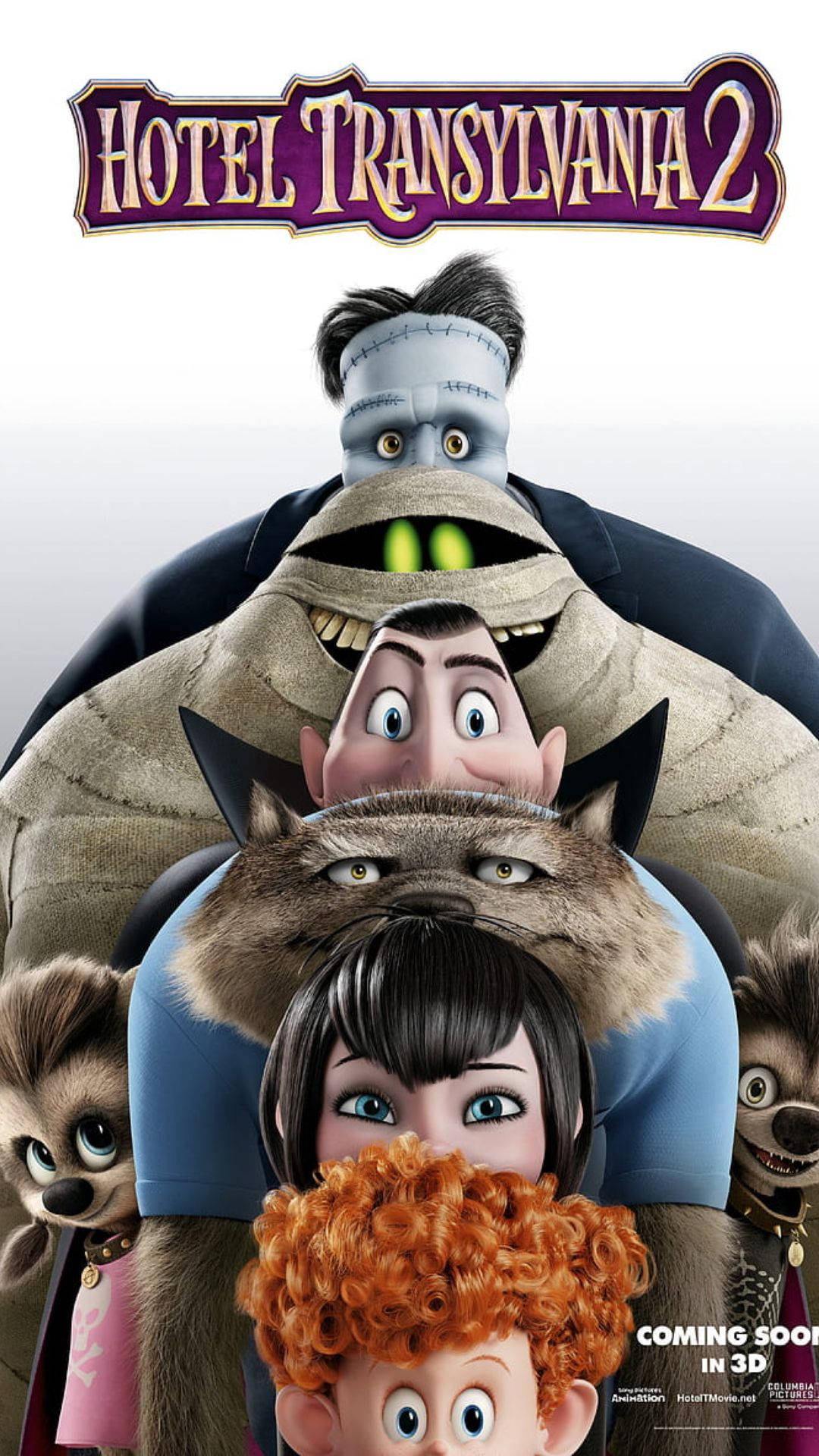 Hotel Transylvania 2 Characters Lined Up Background