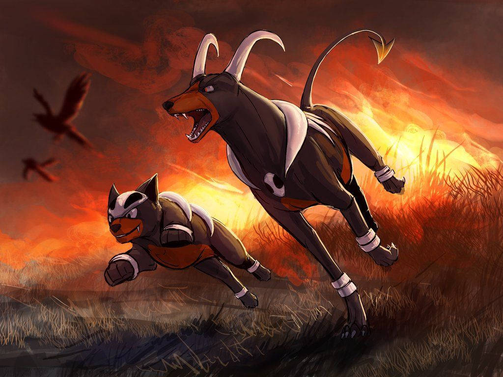 Houndoom And Houndour After Starting A Fire Background