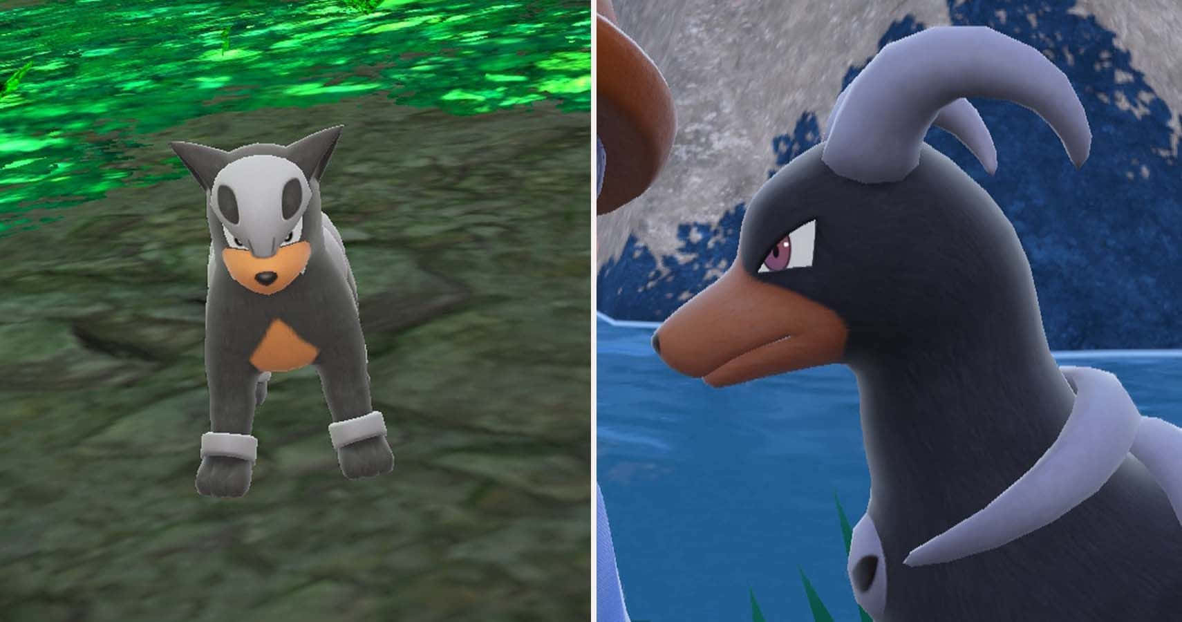 Houndour And Houndoom In Pokemon Scarlet And Violet Background
