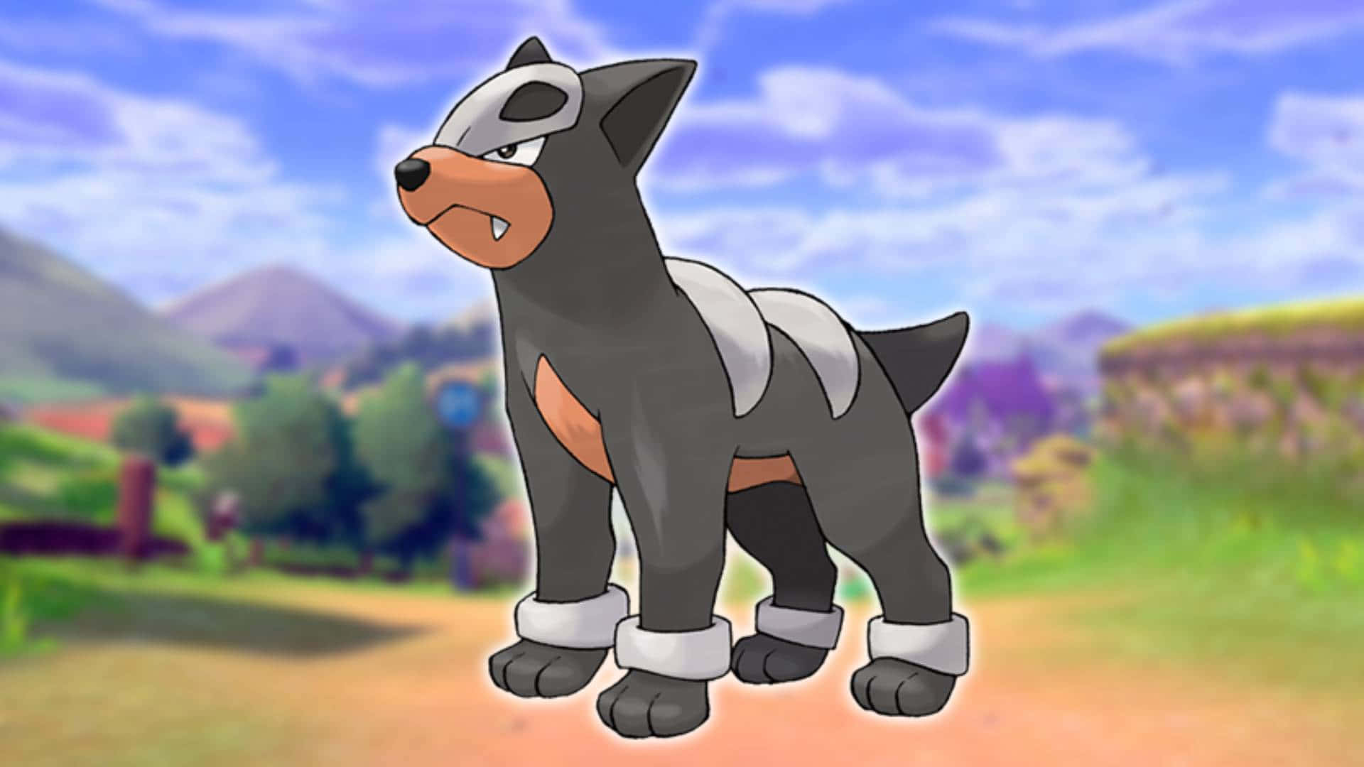 Houndour In Front Of The Fields Background