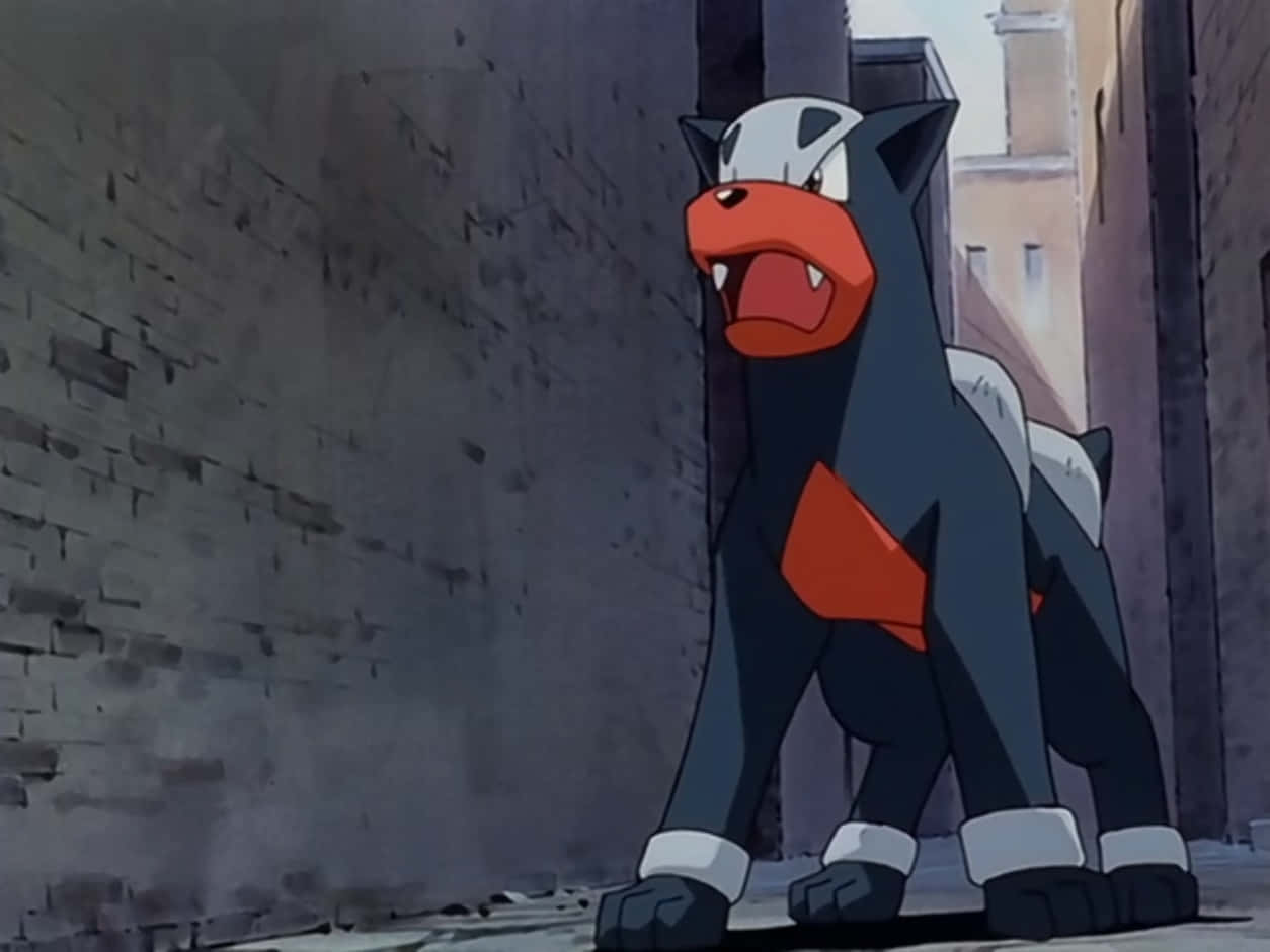 Houndour In The Pokemon Anime Background